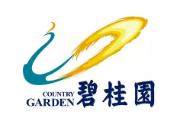 揭东碧桂园地产